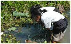 池の水を飲む女の子たち